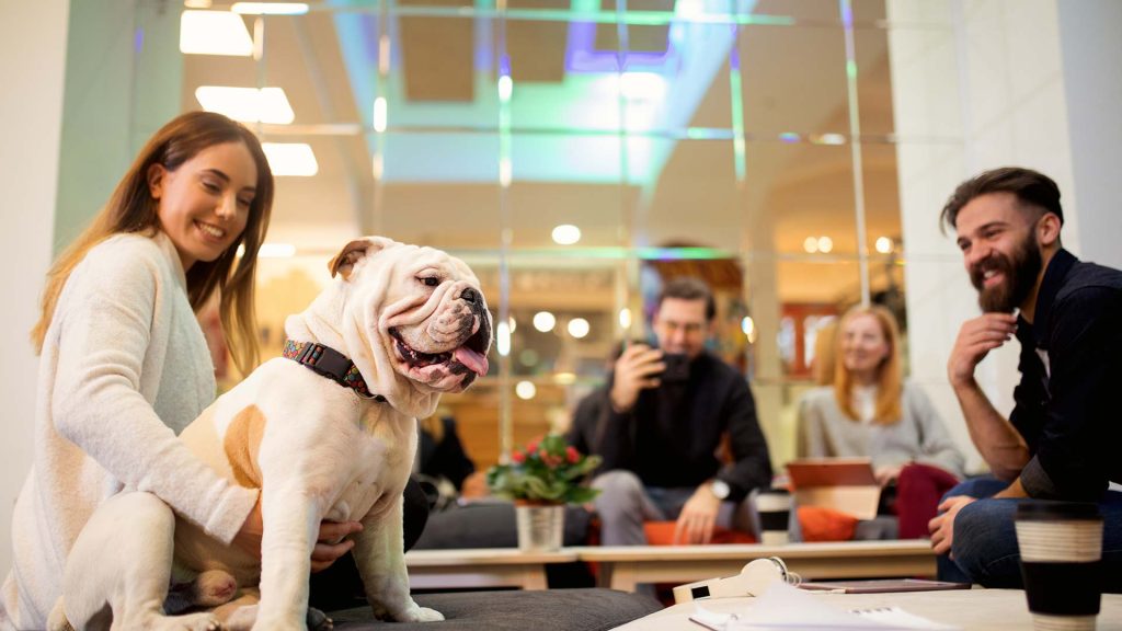 workplace wellness pets at work